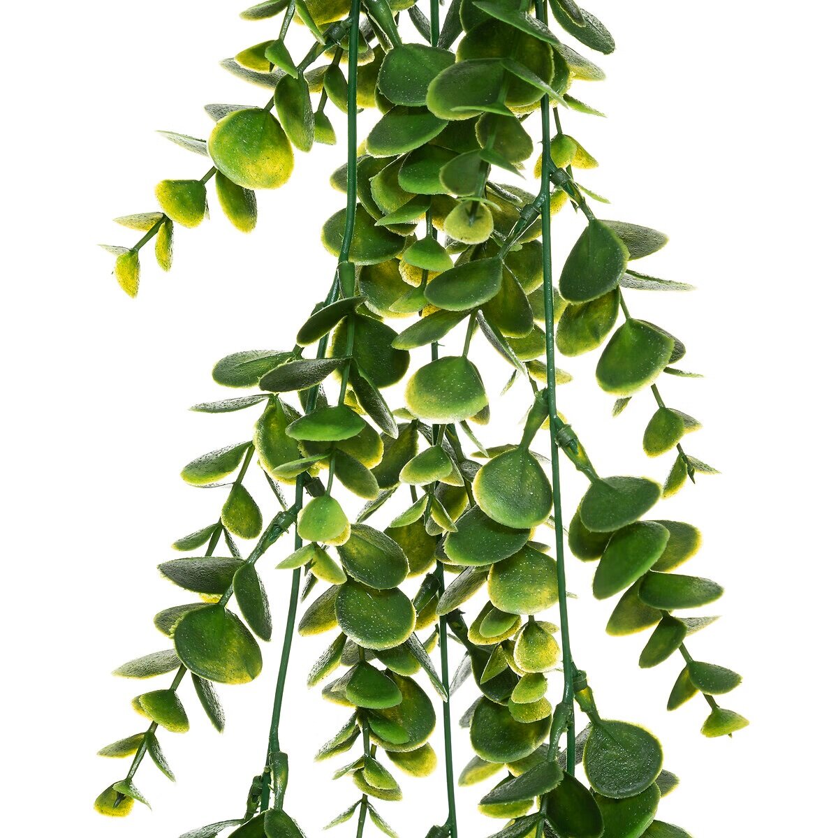 Wisząca roślina sztuczna 75cm peperomia