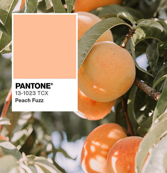 Peach Fuzz – kolor roku 2024 wg Instytutu Pantone. Dobierz meble do koloru sezonu!