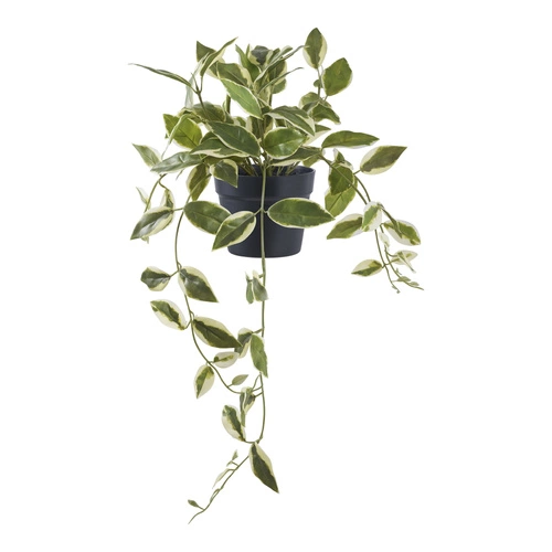 Sztuczna roślina Hoya 33 cm