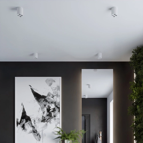 Plafon sufitowy LED ZOE biały minimalistyczny do salonu i kuchni aluminium 4x9W