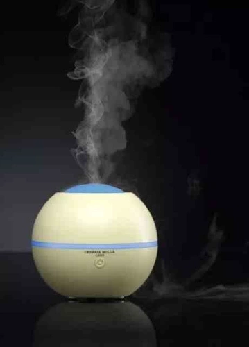 Cereria Molla olejek zapachowy Raspberry & Black Vanilla 30ml do dyfuzora do domu