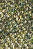 Dywan Shaggy Spring zielony 200x300cm
