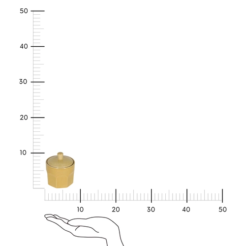 Cukiernica Roma żółta