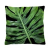 Poduszka dekoracyjna welurowa Black Monstera 40x40cm antyalergiczna do salonu Intesi