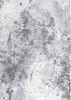 Dywan Moon  Light Gray 200x300  Magic Home