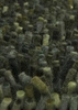 Dywan Shaggy Rocks zielony 250x350cm