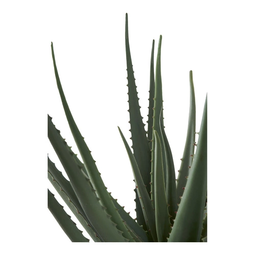 Sztuczna roślina Aloes Intesi 51cm nowoczesny aloes doniczkowy jak żywy do salonu