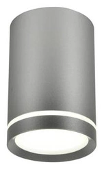 Lampa sufitowa Tuba 1x15W GU10 6,8/10  srebrny matowy