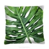 Poduszka Monstera