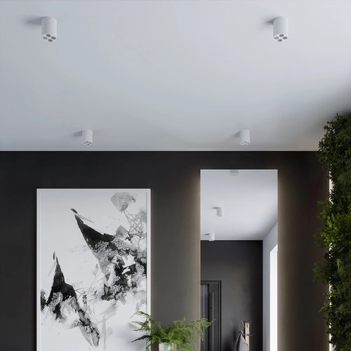 Plafon sufitowy LED ZOE biały minimalistyczny do salonu i kuchni aluminium 4x9W