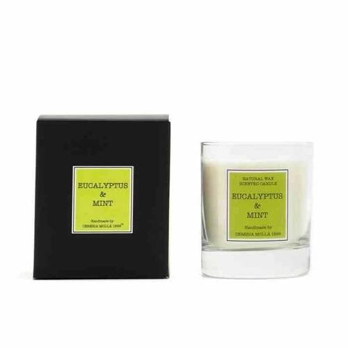 Świeca Santiago 230gr. Eucalyptus and Mint