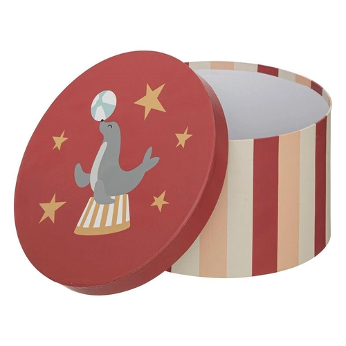 Zestaw 3 pudełek Circu