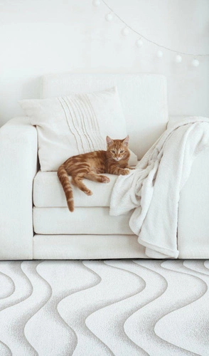 Dywan do salonu Sabbia Beige 200x300 nowoczesny łatwoczyszczący antypoślizgowy Carpet Decor