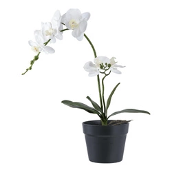 Sztuczna roślina Orchidea biała 49cm