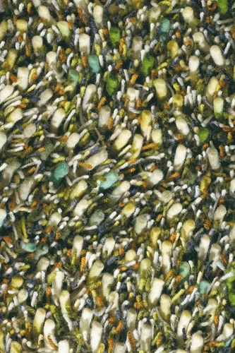 Dywan shaggy zielony wełniany do salonu Spring 200x300 cm nowoczesny miękki CARPETS & MORE