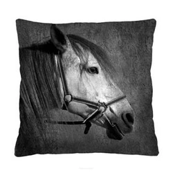 Poduszka dekoracyjna welurowa Mistral do salonu i sypialni antyalergiczna nowoczesna 40x40 cm