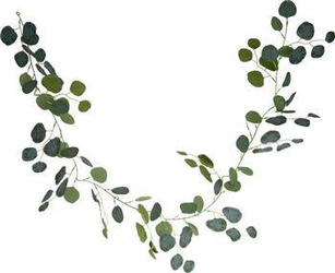 Girlanda Eukaliptus 180cm               