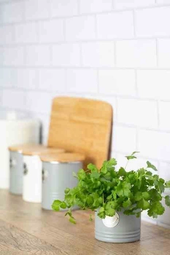 Doniczka na zioła metalowa szara Typhoon nowoczesna osłonka do kuchni 11 cm