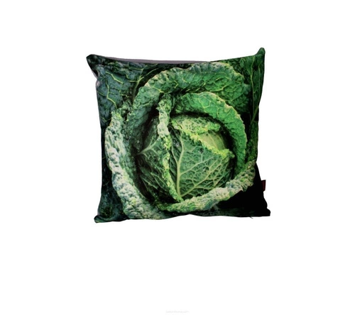 Poduszka dekoracyjna Chou antyalergiczna do salonu i sypialni zielona 40x40