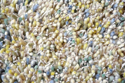 Dywan shaggy do salonu Shaggy Young beżowo-szary nowoczesny wełniany 250x350 cm Carpets&More