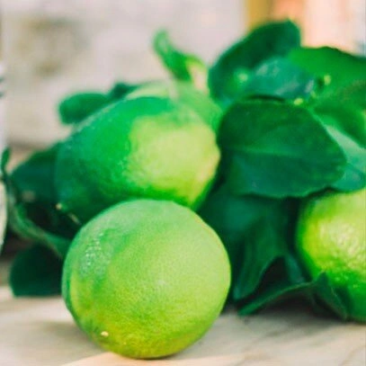 Szampon z odżywką 500ml Bergamotto di Calabria