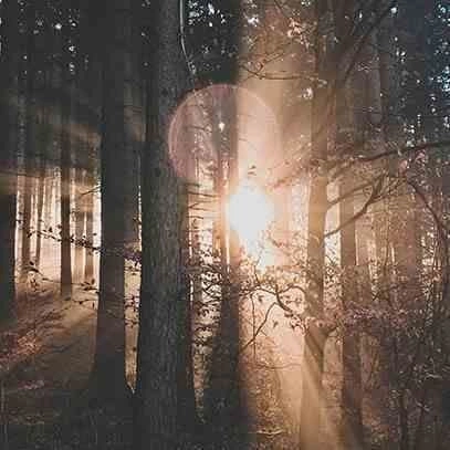 Świeca XL 600gr. Velvet Wood