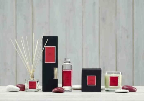 Dyfuzor Santiago Reed 100ml. Red fruits