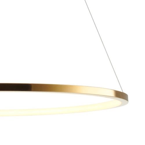 Nowoczesna złota lampa sufitowa LED CIRCLE SLIM 60 cm do salonu i nad stół