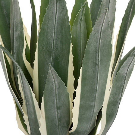 Sztuczna Agawa Amerykańska 55 cm