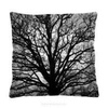 Arbre
