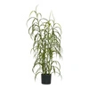 Sztuczna trawa cyprysowa House Nordic 68 cm w doniczce do salonu