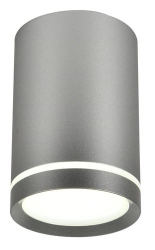 Lampa sufitowa Tuba 1x15W GU10 6,8/10  srebrny matowy