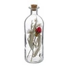 transparentny  || naturalny