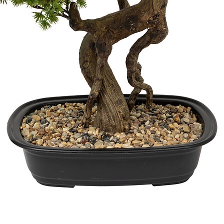 Sztuczne drzewko Bonsai 86cm Atmosphera jak prawdziwe w czarnej donicy do salonu