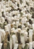 Dywan Shaggy Rocks beżowy 250x300cm
