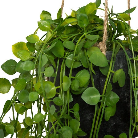 Bluszcz sztuczny Atmosphera nowoczesny wiszący w doniczce do salonu i sypialni 10,5 cm