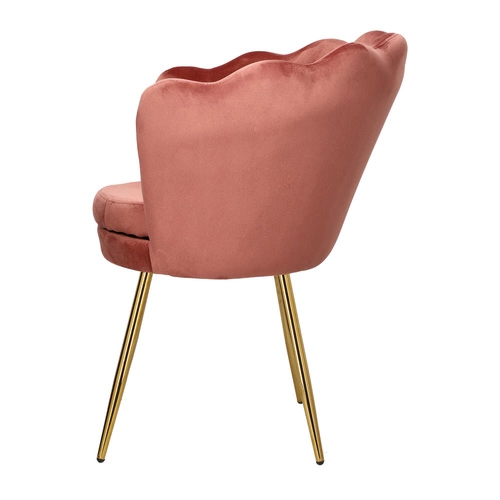 Krzesło welurowe muszelka Florencja Intesi różowe ze złotymi nogami do salonu i toaletki