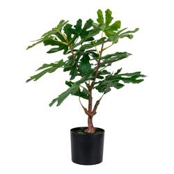 Sztuczne drzewo figowe 60cm
