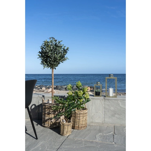 Sztuczne drzewko Skimmia 75 cm Intesi nowoczesne sztuczne rośliny do salonu i sypialni