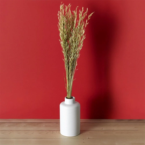 Suszony bukiet 75cm- owies              