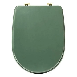 Deska sedesowa Duo zielona z duroplastu do toalety nowoczesna