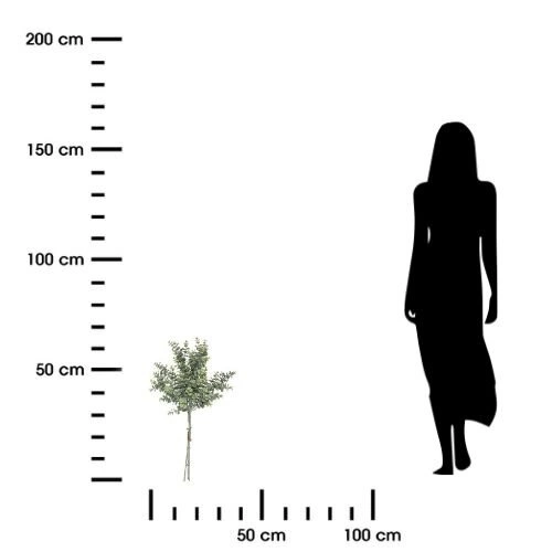 Bukiet sztucznych eukaliptusów Atmosphera 64 cm nowoczesny do salonu lub jadalni