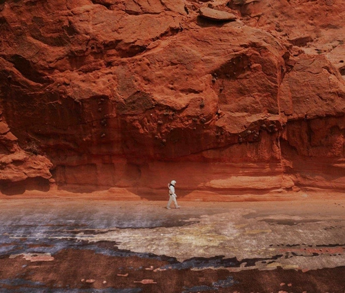 Dywan nowoczesny Alsana Purple 160x230 ręcznie tkany do salonu i sypialni Carpet Decor