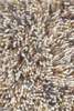 Dywan Shaggy Flamenco beżowy 200x280cm