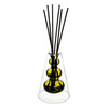 Dyfuzor zapachowy Twisted Lime Fleur D    Agrumes