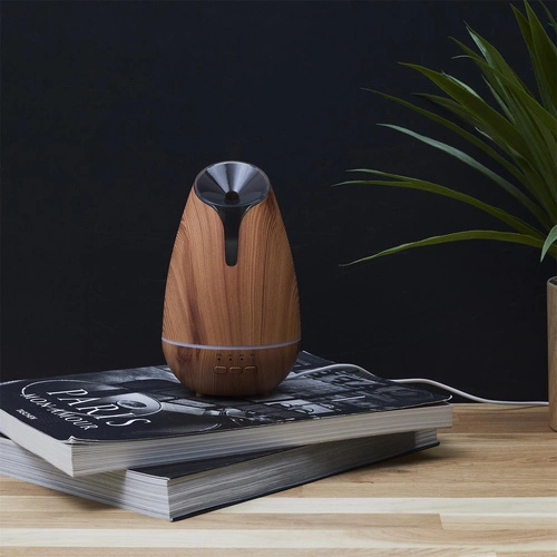 Dyfuzor zapachowy Bruna USB 120 ml naturalny z oświetleniem LED do domu Intesi