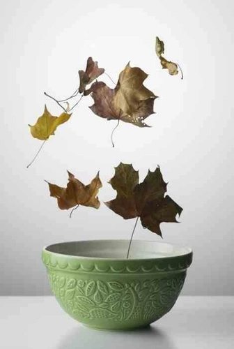 MC - Miska 1 l zielona InTheForest