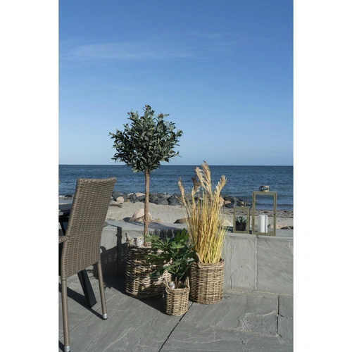 Zestaw 3 koszy dekoracyjnych Sema rattan kubu do przechowywania w salonie boho