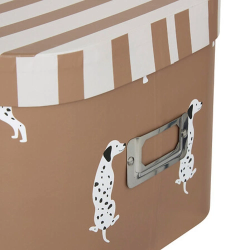 Zestaw 3 pudełek Scott dog