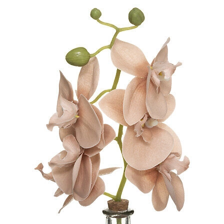 Sztuczny storczyk różowy Edi 40 cm w szklanym wazonie glamour do salonu Atmosphera